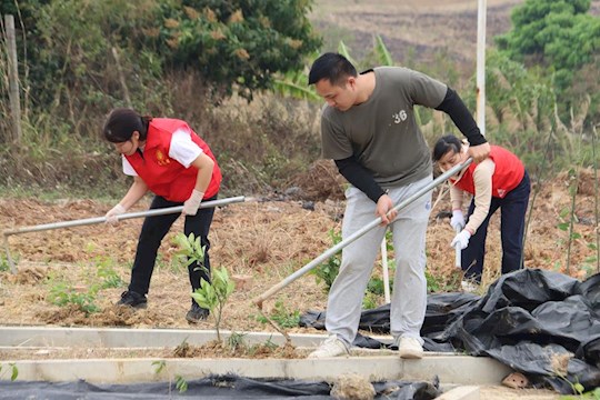 共植希望之树，同传中药文化——党团共建植树节活动圆满举行
