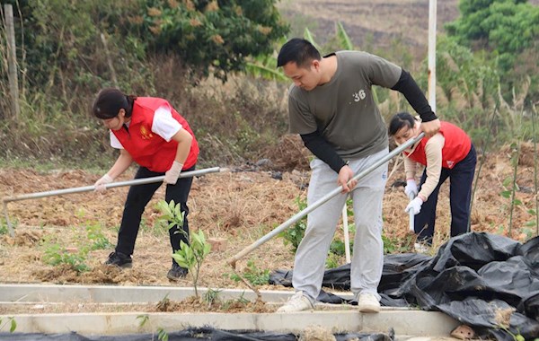 共植希望之树，同传中药文化——党团共建植树节活动圆满举行